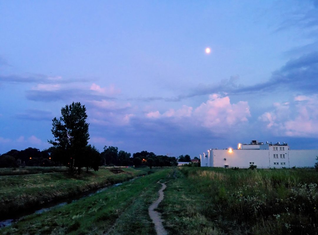 Fotografia komórkowa - szmigieldesign