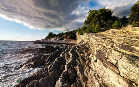 Fotografia komórkowa - szmigieldesign