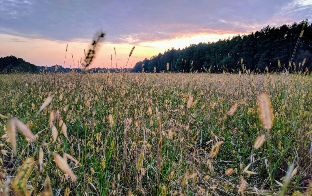 Dlaczego odłożyłem lustrzankę i coraz chętniej fotografuję telefonem | szmigieldesign