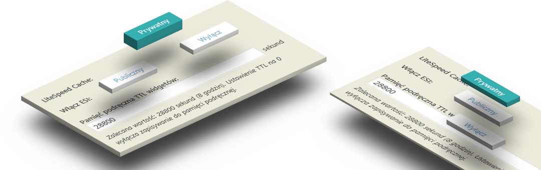 Większa wydajność stron internetowych dzięki implementacji ESI w LiteSpeed Cache | szmigieldesign