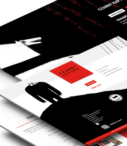 Projekt strony internetowej | szmigieldesign